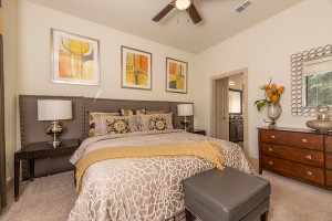 Two Bedroom Apartments for rent in Houston, Texas    